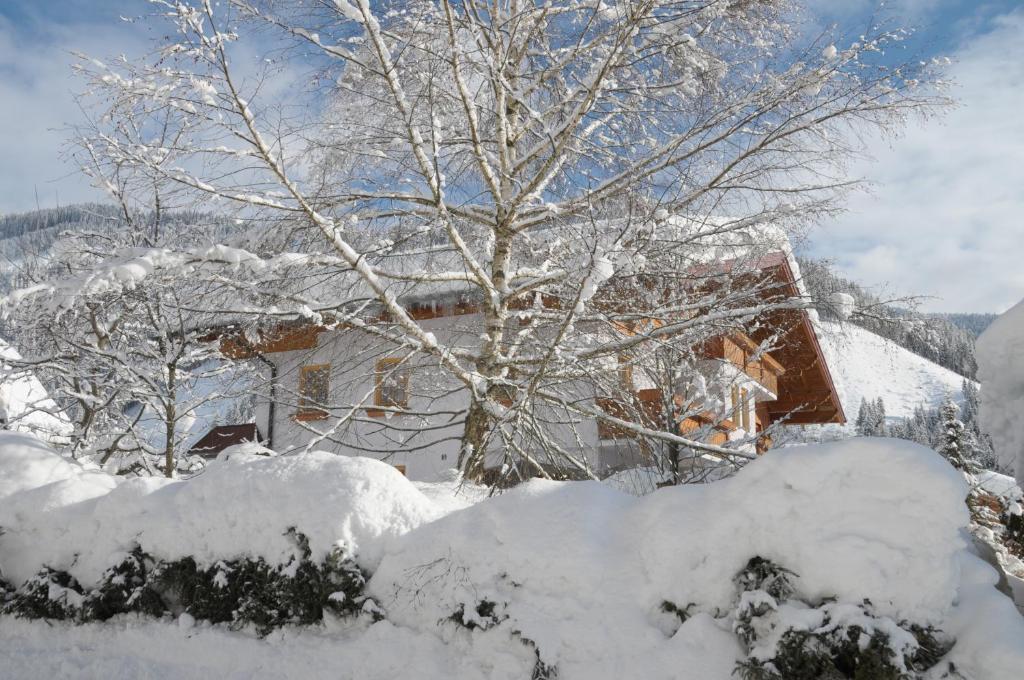 Haus Alpenflora Apartman Werfenweng Kültér fotó